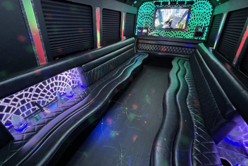 Mountain View Limo Bus Interior