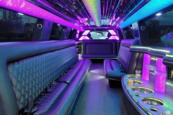 Mountain View Limo Interior