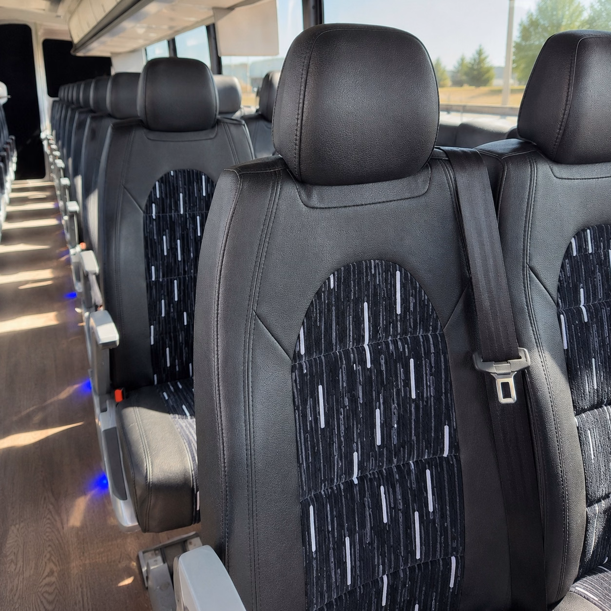 mountain view 56 passenger charter bus rental